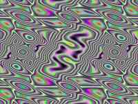 Microcosm