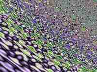Riverbed